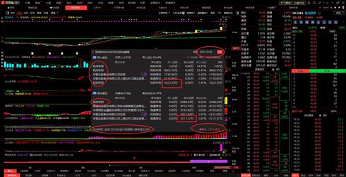 情緒冰點中靜候企穩 2022年10月28日信息系統集成服務漲停板復盤